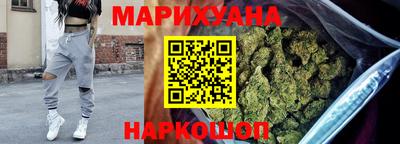 индика Новодвинск