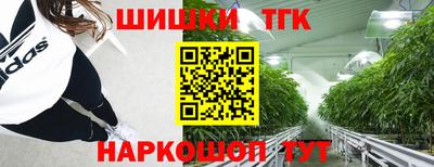 индика Новодвинск