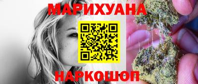 индика Новодвинск