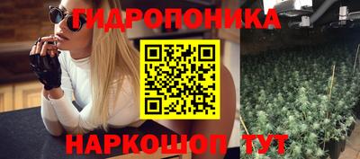 индика Новодвинск