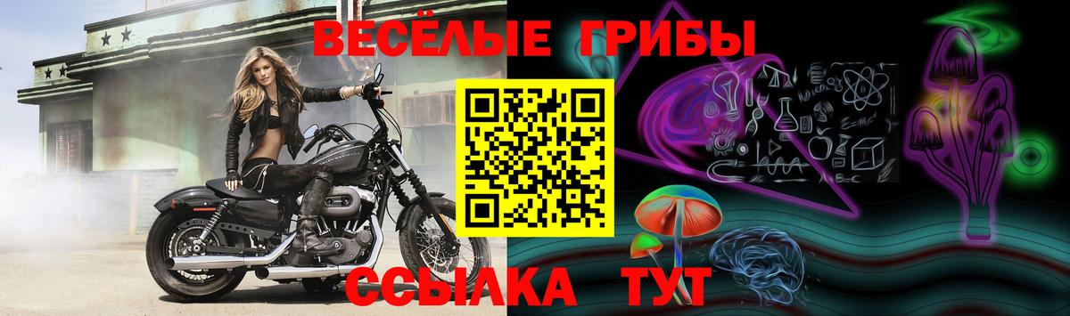 Псилоцибиновые грибы GOLDEN TEACHER  Псилоцибиновые грибы Magic Shrooms  Вход с VPN  Улан-Удэ 